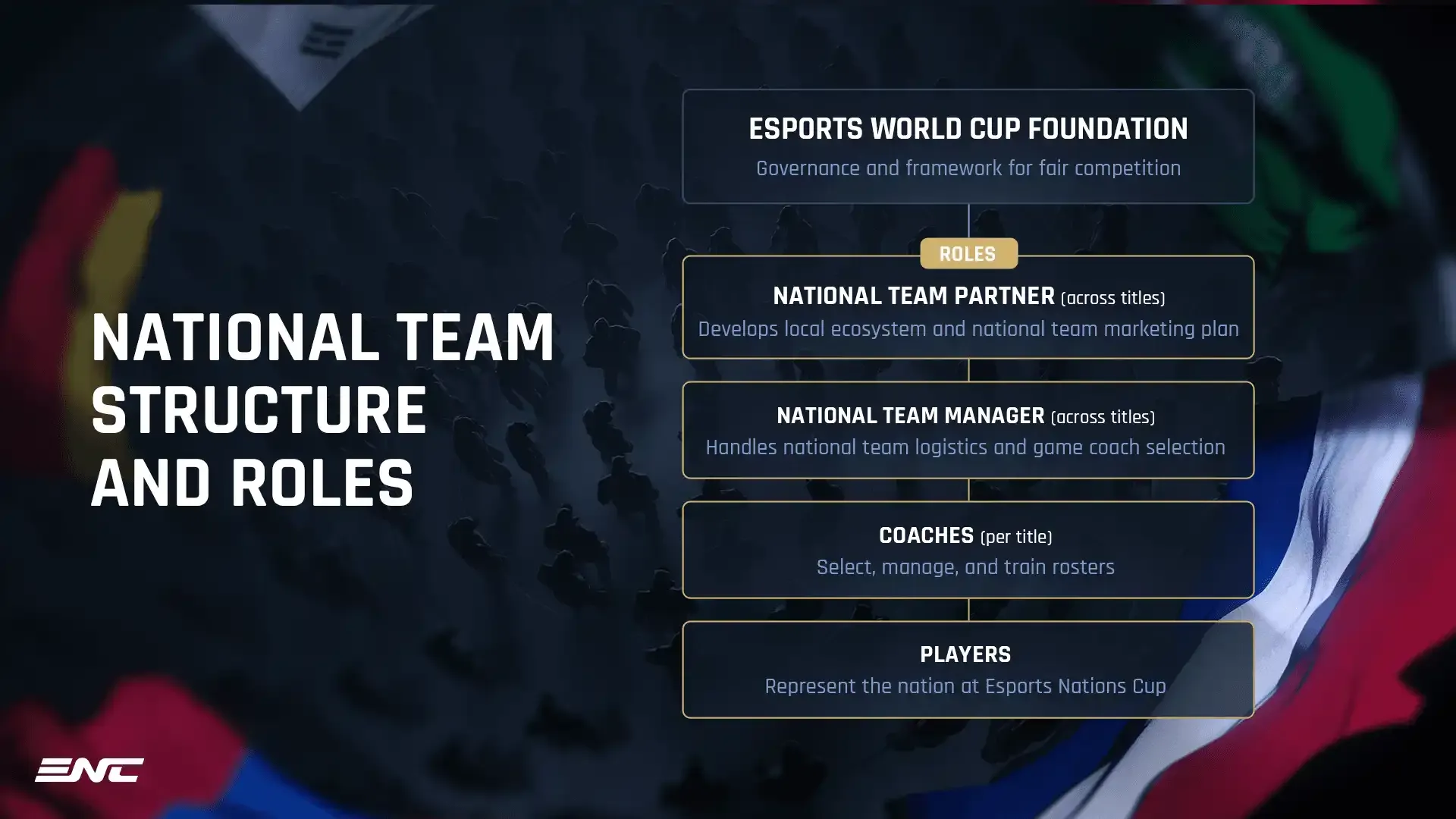 ENC_National_team_structure_role_bf3bc741d9.webp